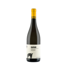 Calpazio Paestum Greco IGP 13% Vol. — San Salvatore 1988 (75 cl)