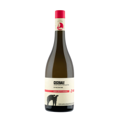Cecerale Paestum Fiano IGP 13% Vol. — San Salvatore 1988 (75 cl)