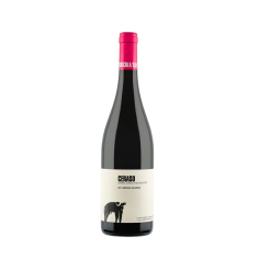 Ceraso Paestum Aglianico IGP 13,5% Vol. — San Salvatore 1988 (75 cl)