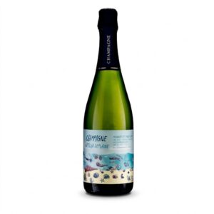 Champagne Natacha Deplaine Meunier et Pinot Noir Extra Brut AOC 12% Vol. (75 cl)