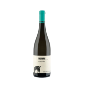 Palinuro Paestum Bianco IGP 13% Vol. — San Salvatore 1988 (75 cl)