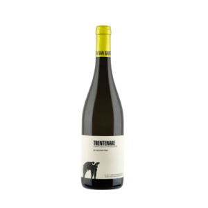 Trentenare Paestum Fiano IGP 13% Vol. — San Salvatore 1988 (75 cl)
